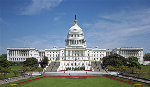 Decorative US Capital Photo